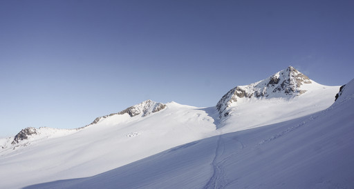 Grossvenediger with skis